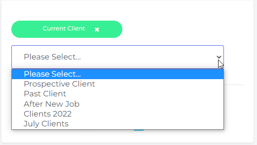 Client Record Tag Section